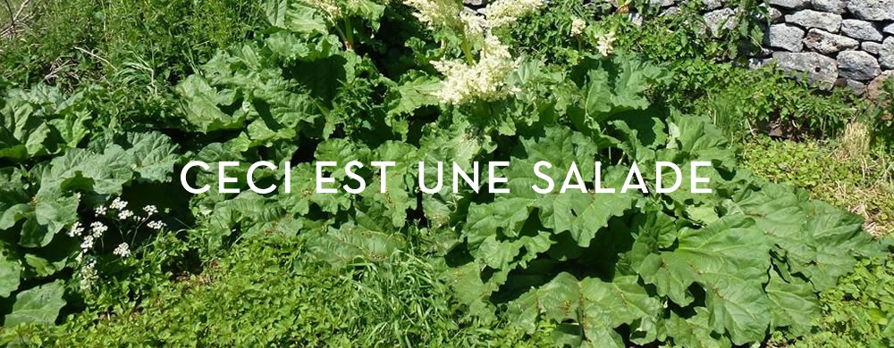 Ils vont aimer la rhubarbe