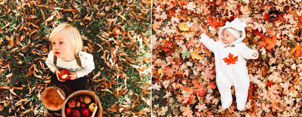 Trois recettes aux saveurs de l'automne