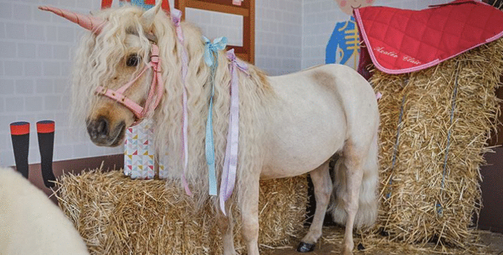 Où gratouiller une licorne à Paris ?
