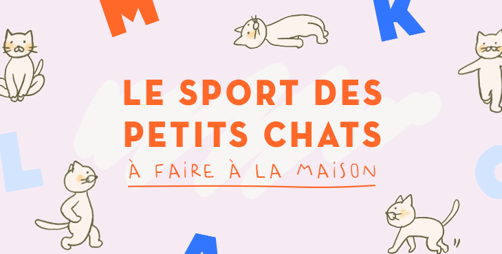 Le sport des petits chats
