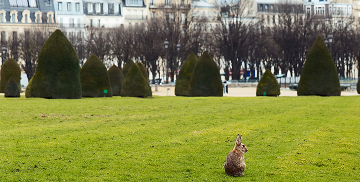 Deux activités de Pâques à Paris
