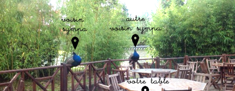 Brunch avec jardin