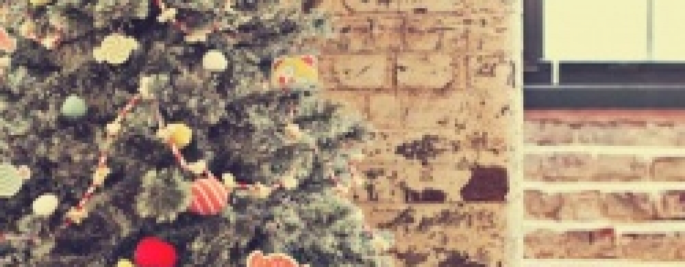 livraison sapin à domicile en France par Plantes et Jardins