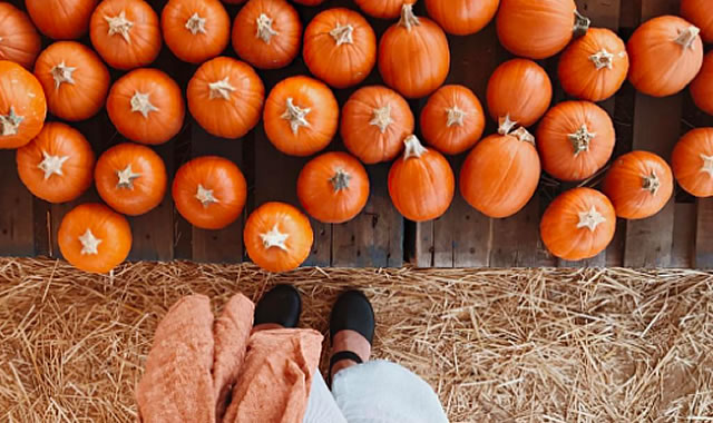 Trois recettes aux saveurs de l'automne