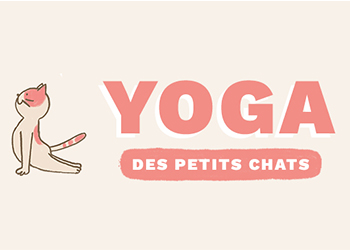 Le yoga des petits chats