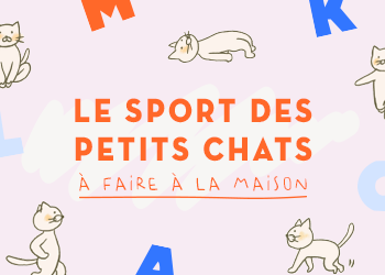 Le sport des petits chats