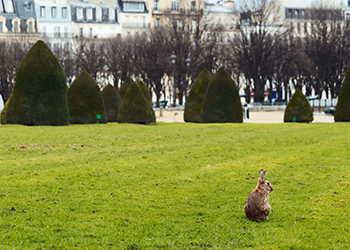 Deux activités de Pâques à Paris